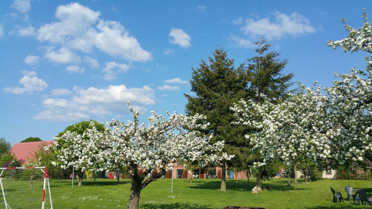 Landferienhof "Mueritzufer" Ludorf Buitenkant foto