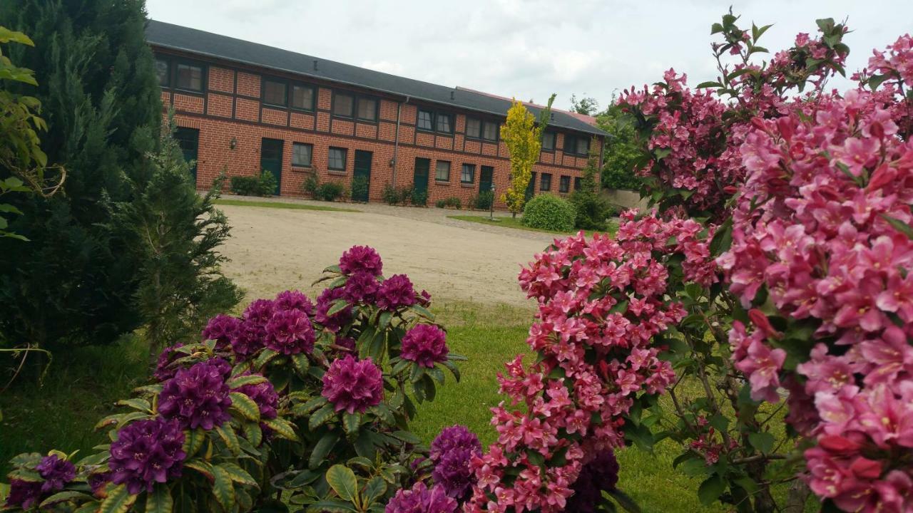 Landferienhof "Mueritzufer" Ludorf Buitenkant foto